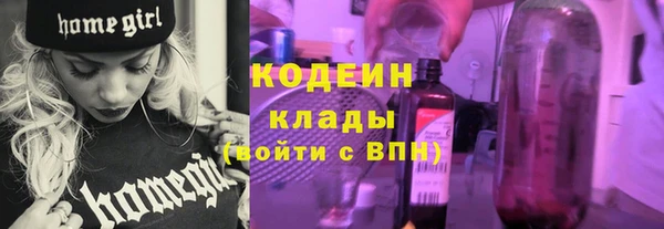 винт Инта