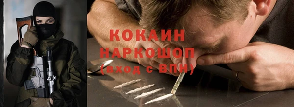 стафф Алексин