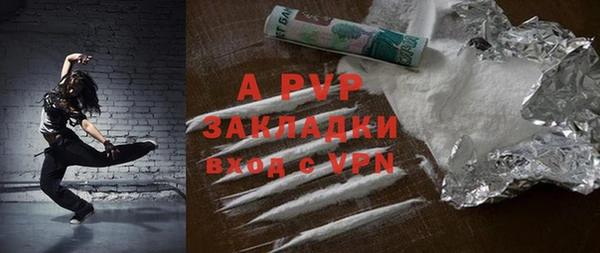 стафф Алексин