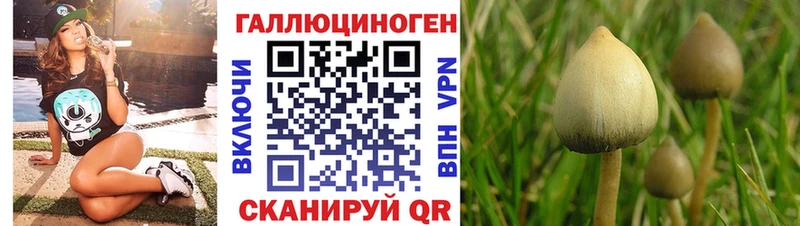 Псилоцибиновые грибы мицелий Лермонтов